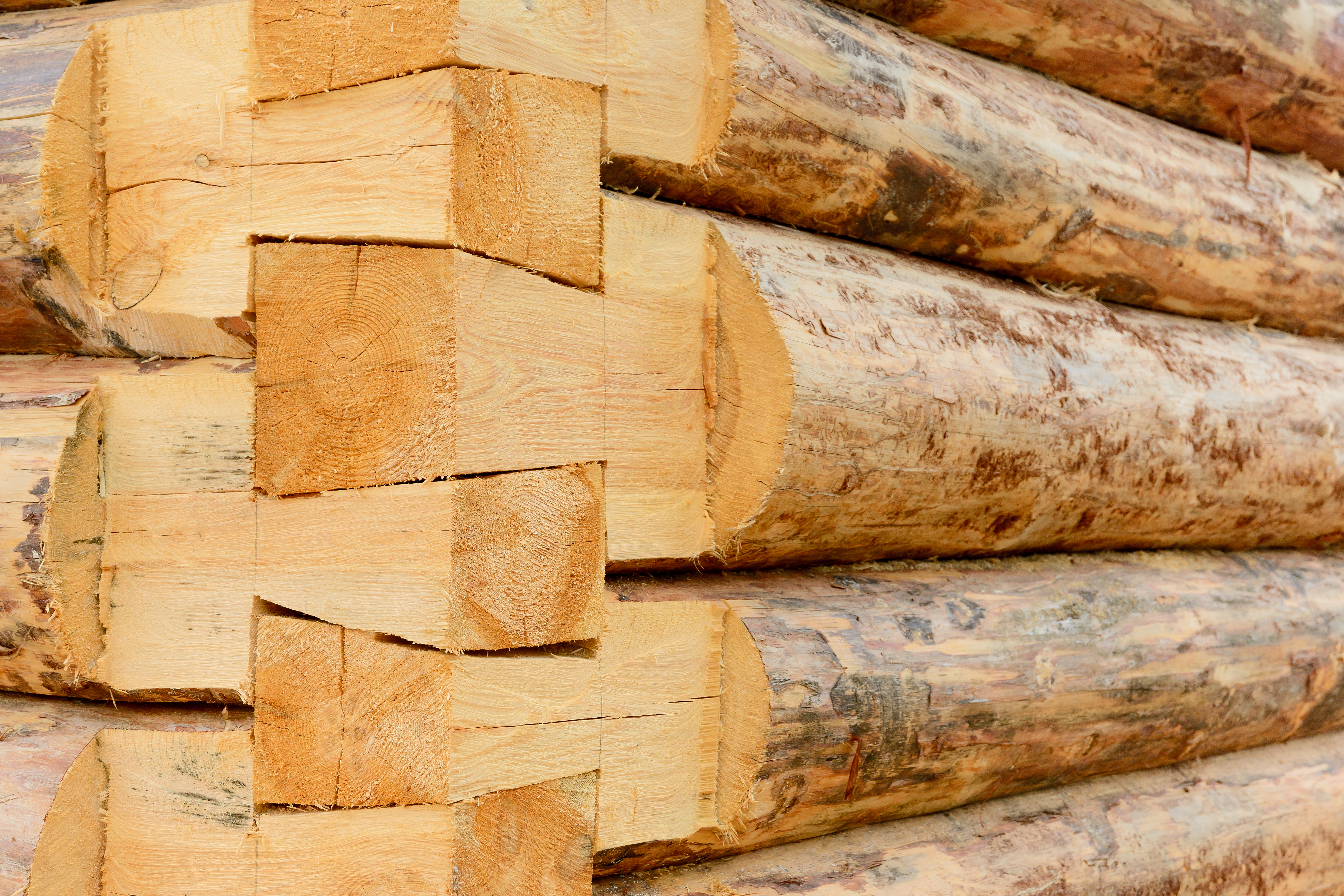 Hand-cut dovetail corner in a log wall